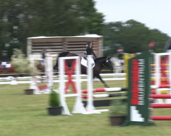 Reitturnier Heide 2019