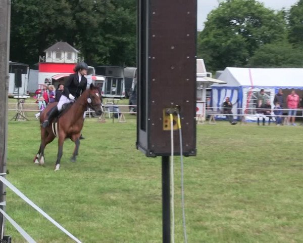 Reitturnier Heide 2019