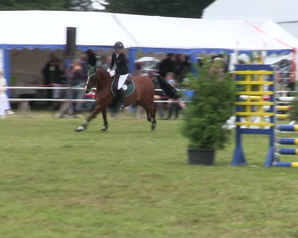 Reitturnier Heide 2019