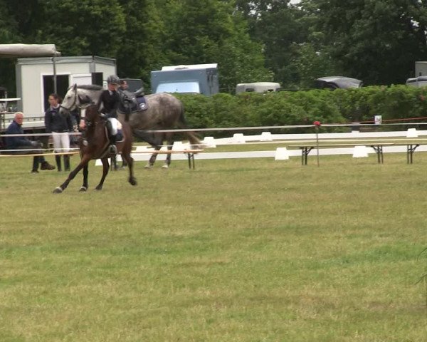 Reitturnier Heide 2019