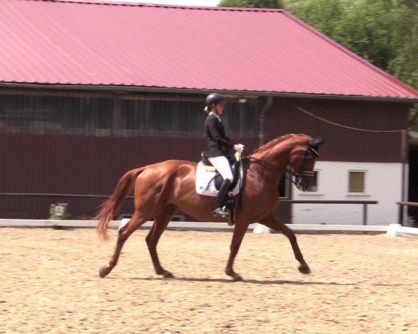 Reitturnier Marienheide-Kempershöhe 2019