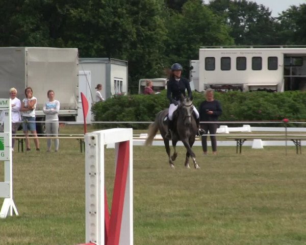 Reitturnier Heide 2019