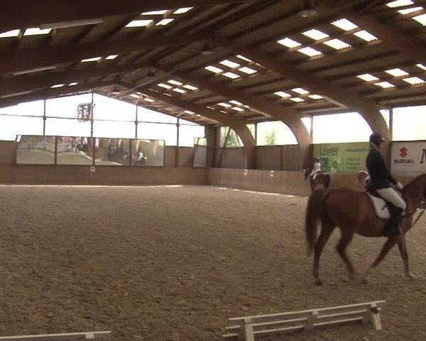 Reitturnier Kleinostheim/Ufr. 2019