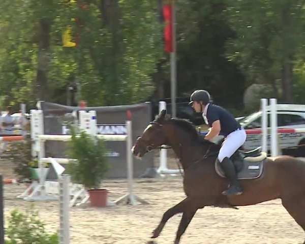 Reitturnier Kleinostheim/Ufr. 2019
