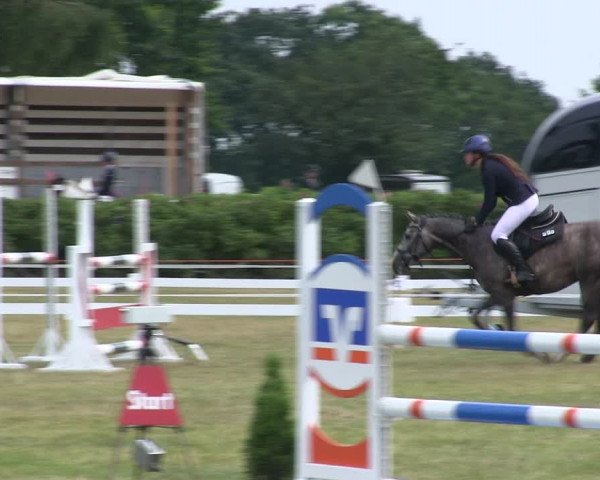 Reitturnier Heide 2019