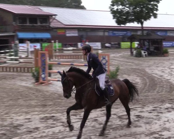Reitturnier Marienheide-Kempershöhe 2019