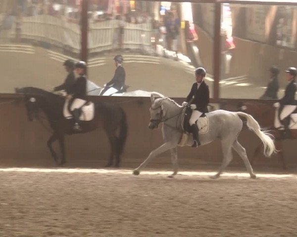 Reitturnier Kleinostheim/Ufr. 2019