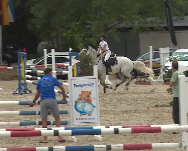 Reitturnier Kleinostheim/Ufr. 2019
