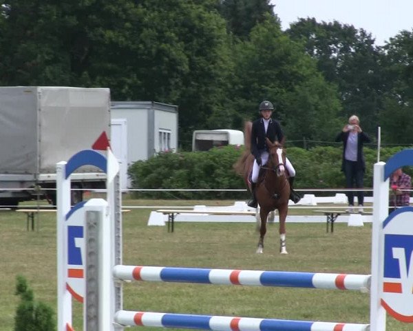 Reitturnier Heide 2019