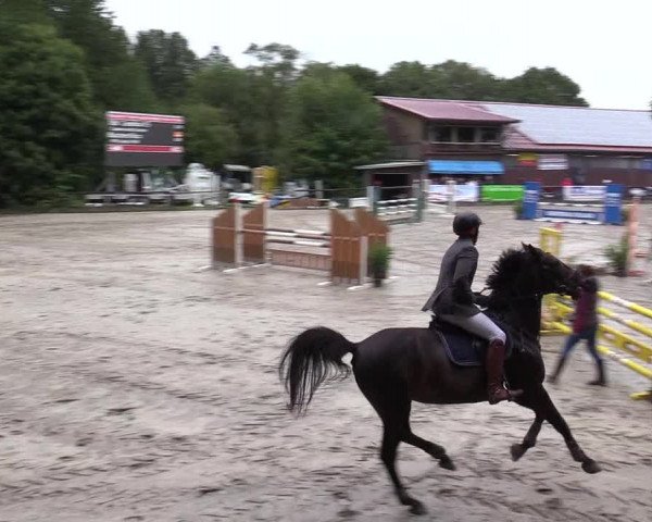 Reitturnier Marienheide-Kempershöhe 2019