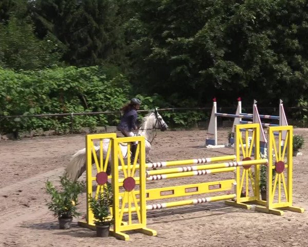 Reitturnier Marienheide-Kempershöhe 2019