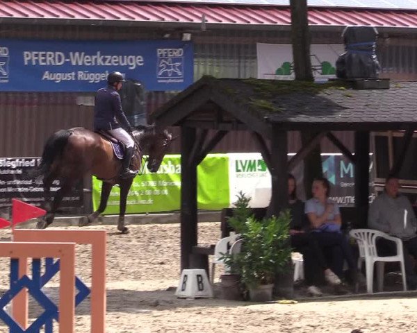 Reitturnier Marienheide-Kempershöhe 2019