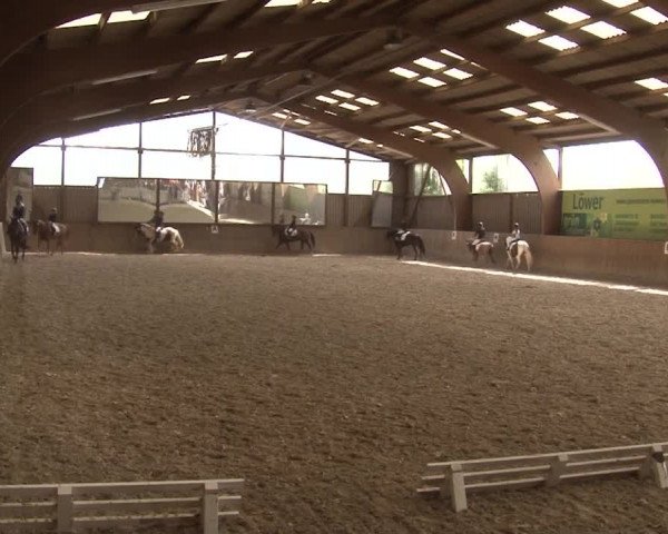 Reitturnier Kleinostheim/Ufr. 2019