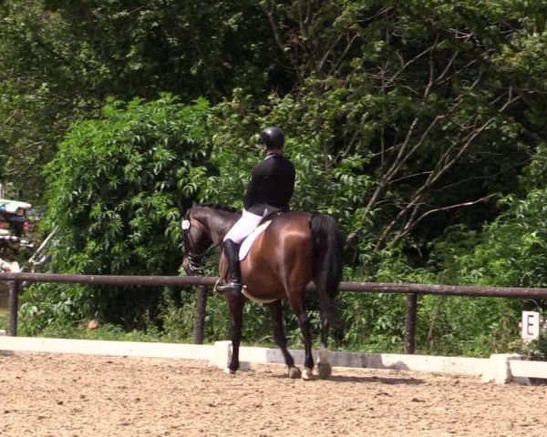 Reitturnier Marienheide-Kempershöhe 2019