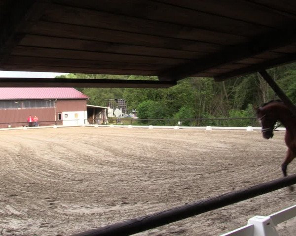 Reitturnier Marienheide-Kempershöhe 2019