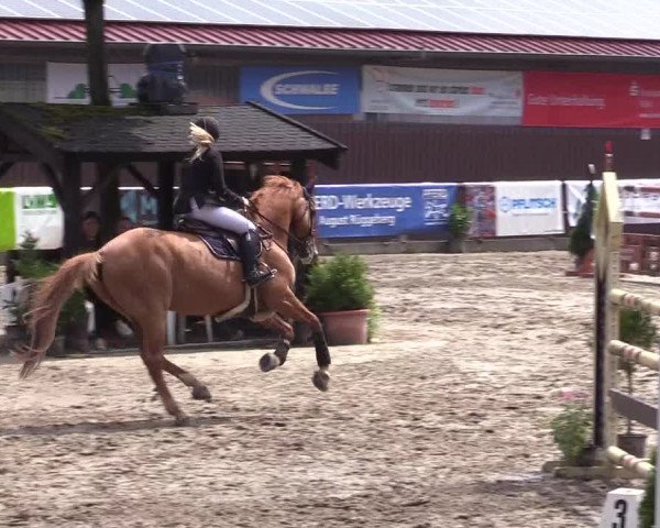 Reitturnier Marienheide-Kempershöhe 2019