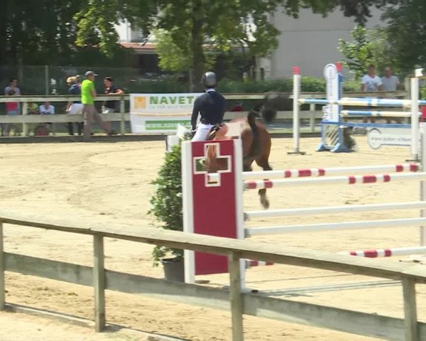 Reitturnier Dagmersellen 2019