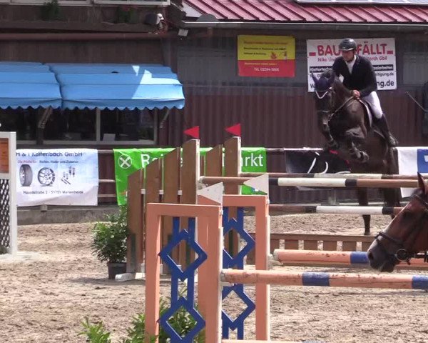 Reitturnier Marienheide-Kempershöhe 2019
