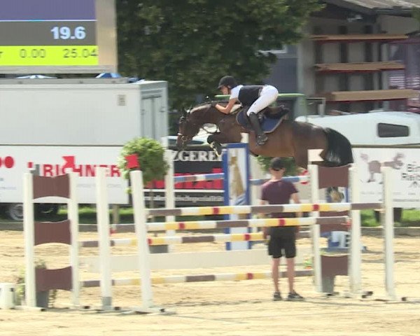 Reitturnier Dagmersellen 2019