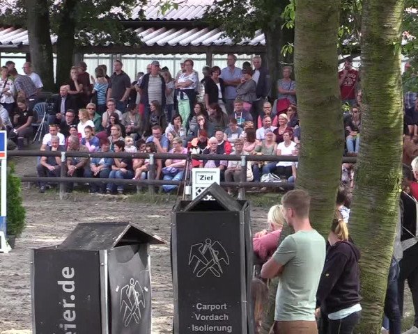 Reitturnier Marienheide-Kempershöhe 2019