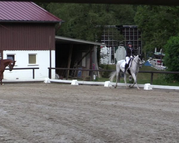 Reitturnier Marienheide-Kempershöhe 2019