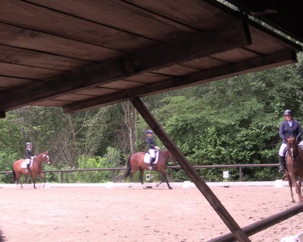 Reitturnier Marienheide-Kempershöhe 2019
