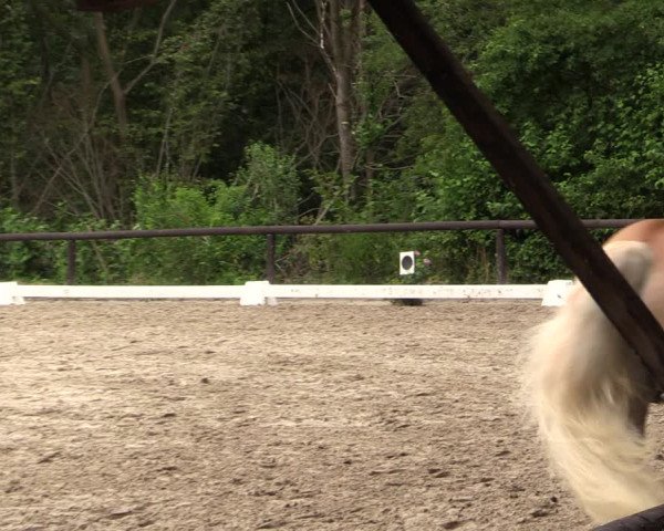 Reitturnier Marienheide-Kempershöhe 2019
