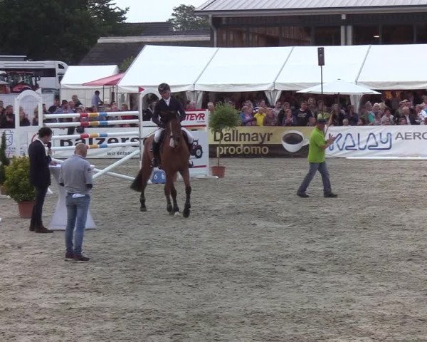 Reitturnier Hörup 2019