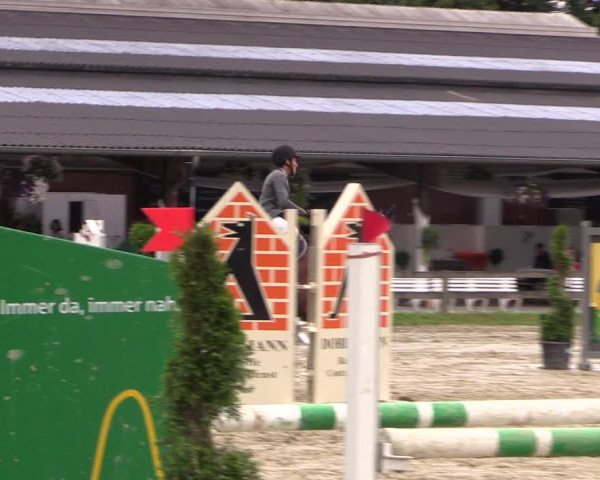 Reitturnier Münster-Roxel 2019