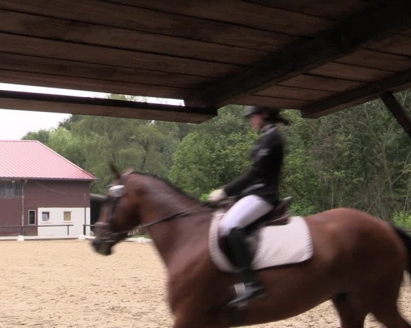 Reitturnier Marienheide-Kempershöhe 2019