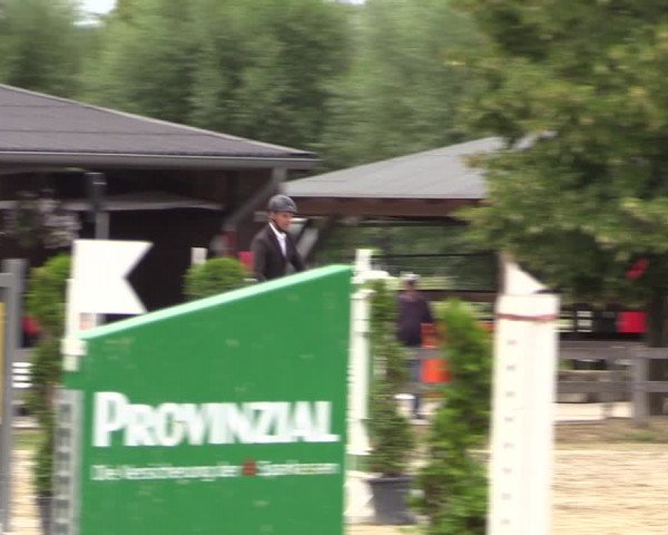 Reitturnier Münster-Roxel 2019