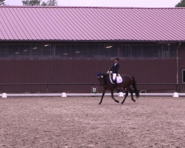 Reitturnier Marienheide-Kempershöhe 2019