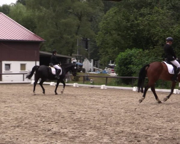Reitturnier Marienheide-Kempershöhe 2019