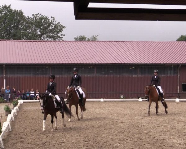 Reitturnier Marienheide-Kempershöhe 2019