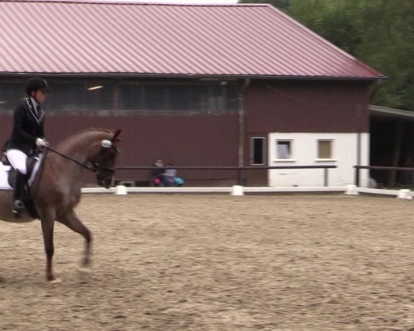 Reitturnier Marienheide-Kempershöhe 2019