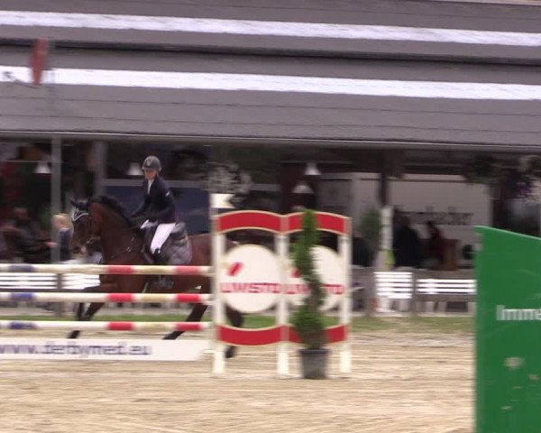 Reitturnier Münster-Roxel 2019