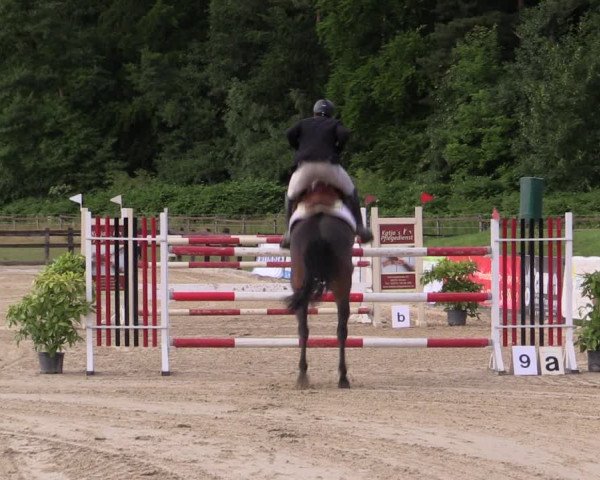 Reitturnier Hemer-Oese an der Edelburg 2019