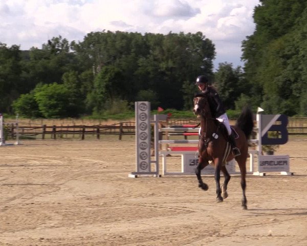 Reitturnier Hemer-Oese an der Edelburg 2019