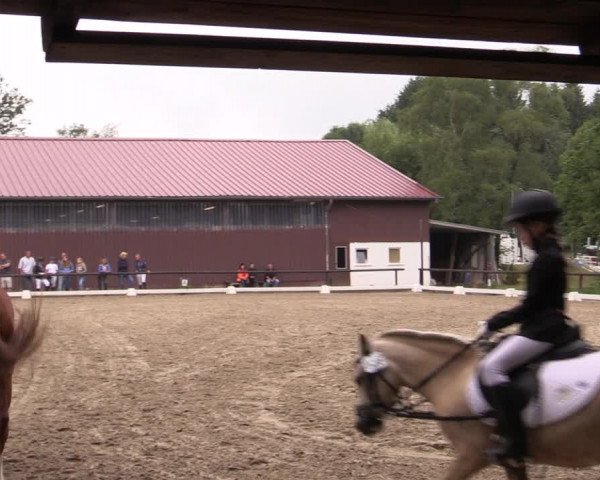 Reitturnier Marienheide-Kempershöhe 2019