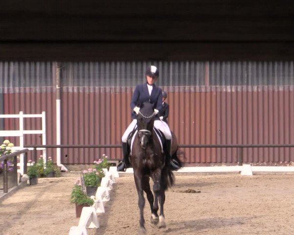 Reitturnier Marienheide-Kempershöhe 2019
