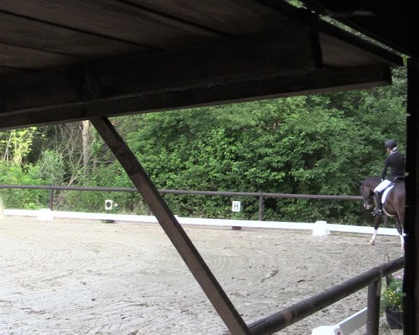 Reitturnier Marienheide-Kempershöhe 2019
