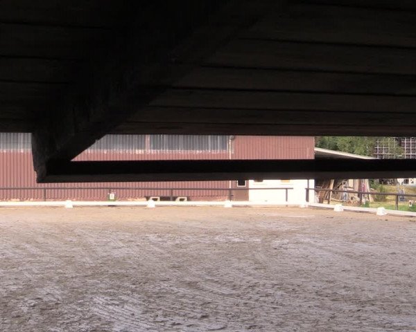 Reitturnier Marienheide-Kempershöhe 2019