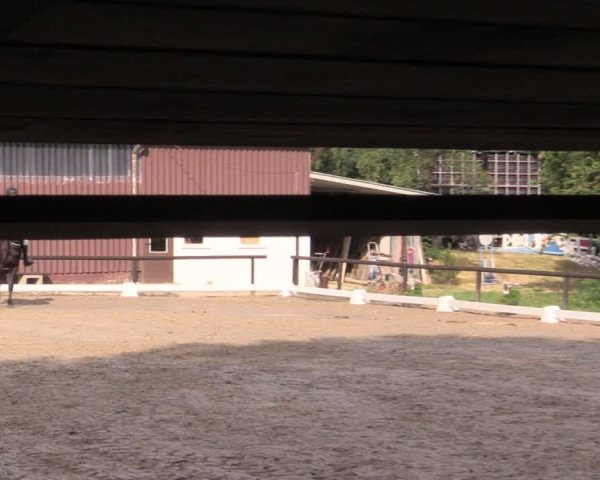 Reitturnier Marienheide-Kempershöhe 2019