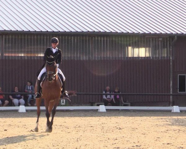 Reitturnier Marienheide-Kempershöhe 2019
