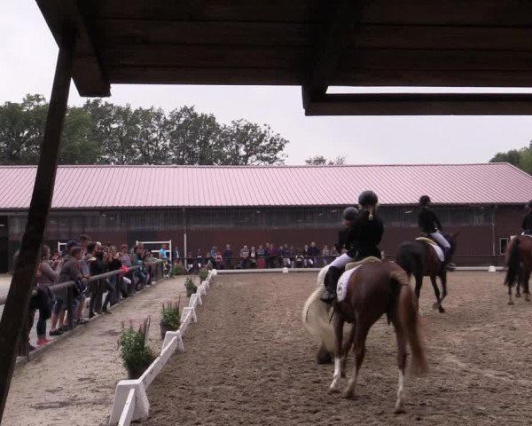 Reitturnier Marienheide-Kempershöhe 2019