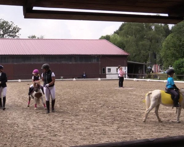Reitturnier Marienheide-Kempershöhe 2019