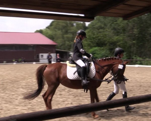 Reitturnier Marienheide-Kempershöhe 2019