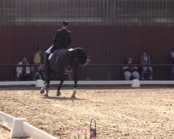 Reitturnier Marienheide-Kempershöhe 2019