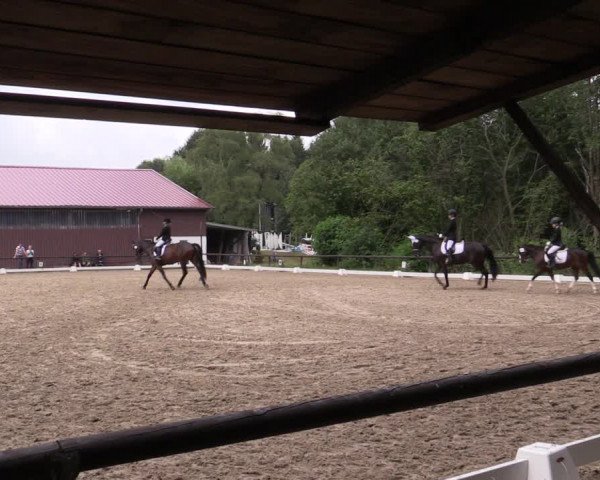 Reitturnier Marienheide-Kempershöhe 2019