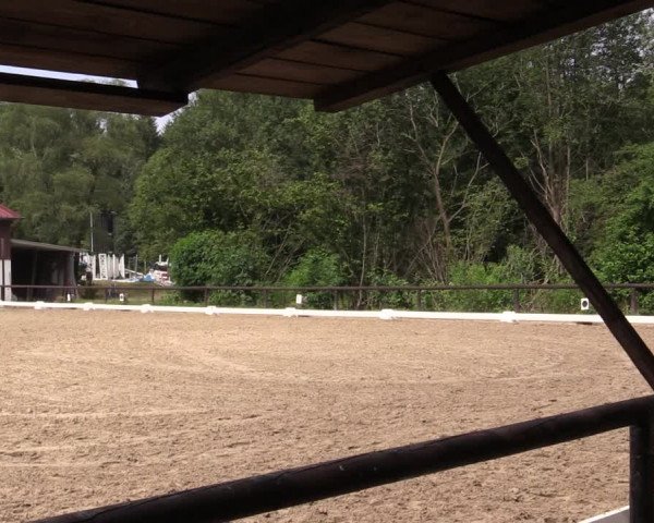 Reitturnier Marienheide-Kempershöhe 2019